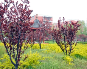 微信图片_20230217005650