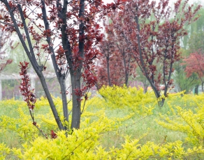 微信图片_20230217005645