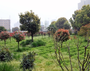 微信图片_20230217005709