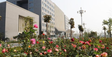 1552293545_3910_thumb