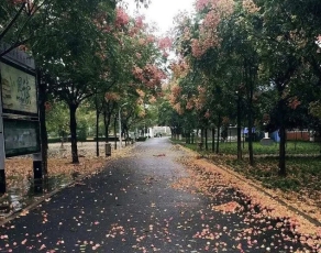 1588044854_4020_thumb